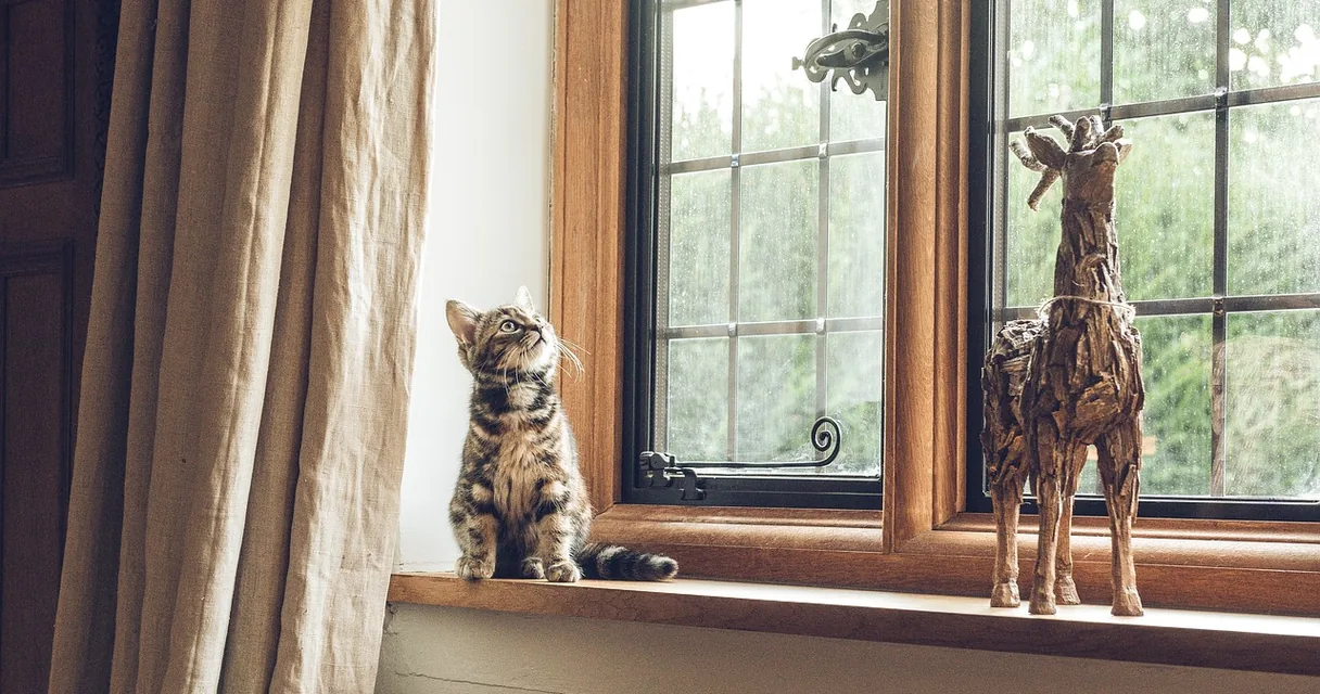Gato e figura de cavalo sobre o peitoril de uma janela ao lado de uma cortina, ilustrando a depressão depois de parar de beber